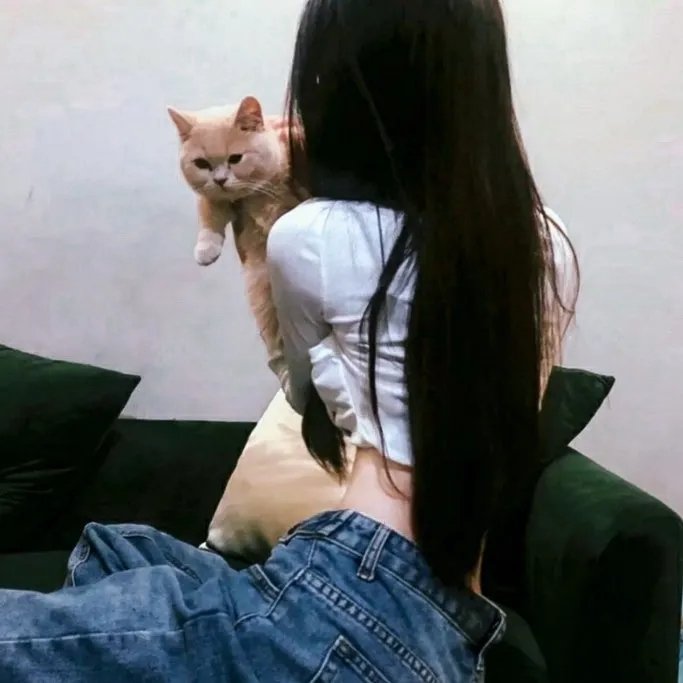 豺狼
